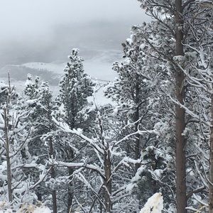 Meet your Posher, Brynn